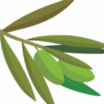 Contraindicaciones de las hojas de olivo en infusión: efectos secundarios y precauciones